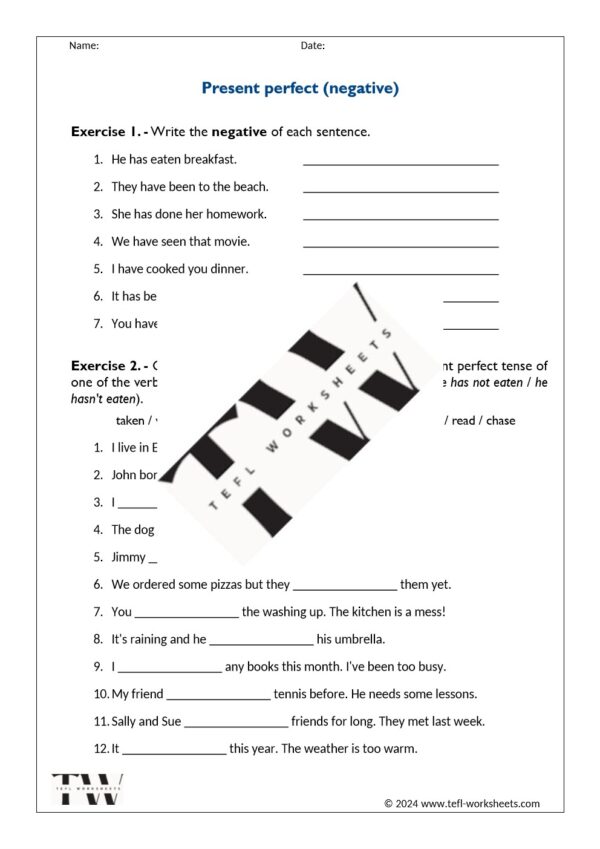 present perfect (negative)